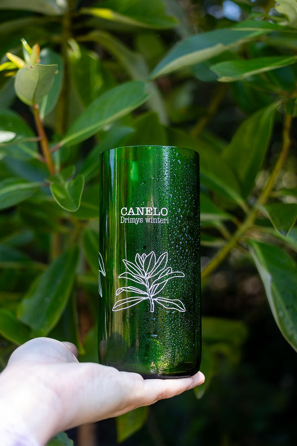 Flora chilota Set 3 vasos