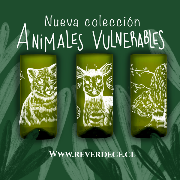 Animales vulnerables Set 3 vasos