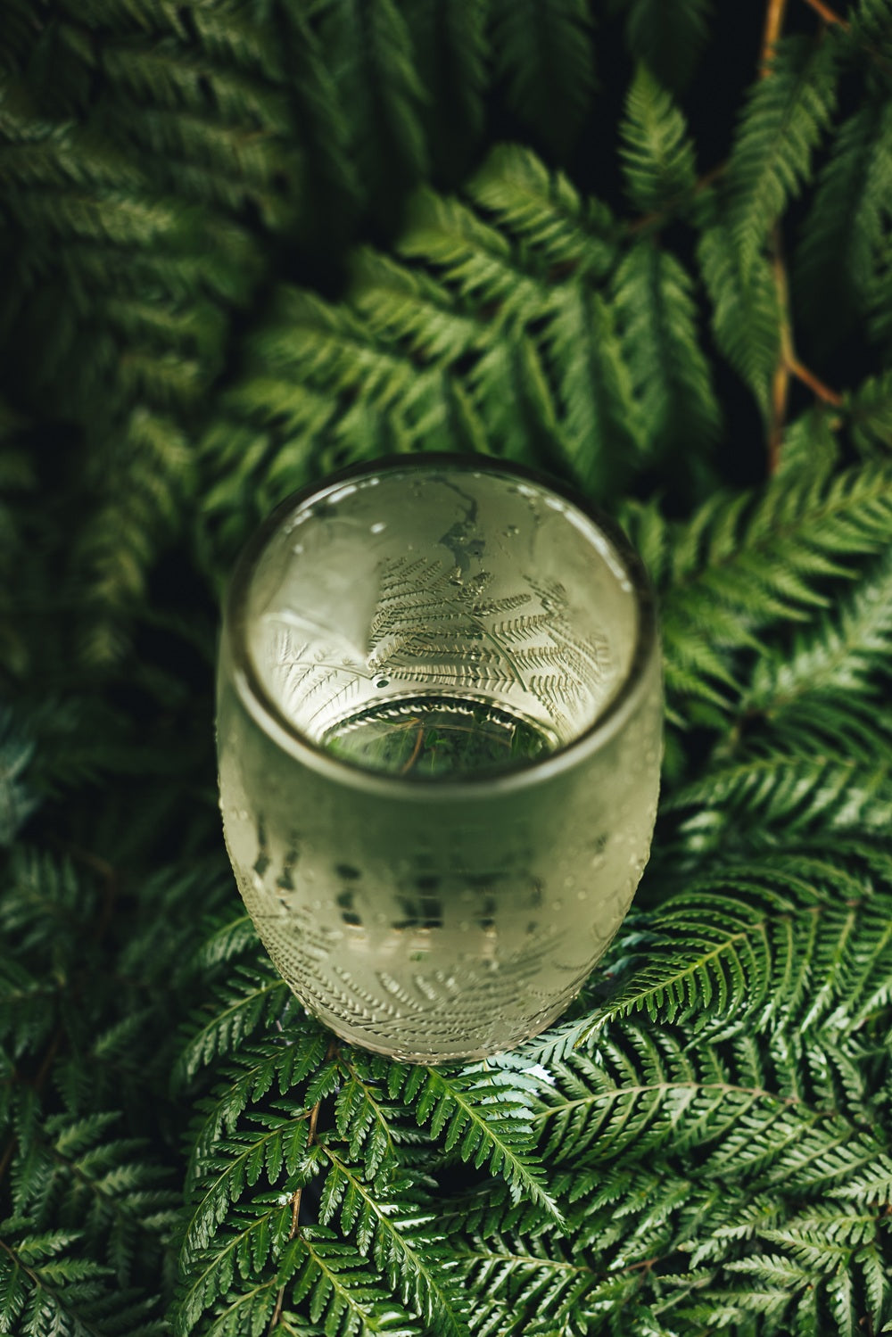 Vasos Reciclados Puyehue 500 ml | Set de 3 – Reverdece