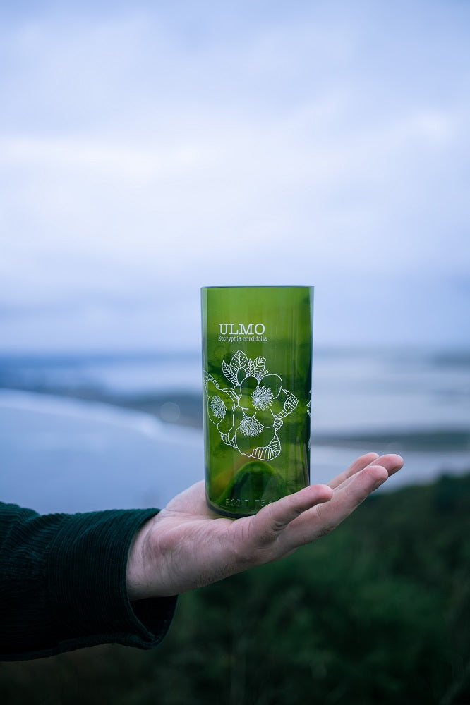 Flora chilota Set 3 vasos