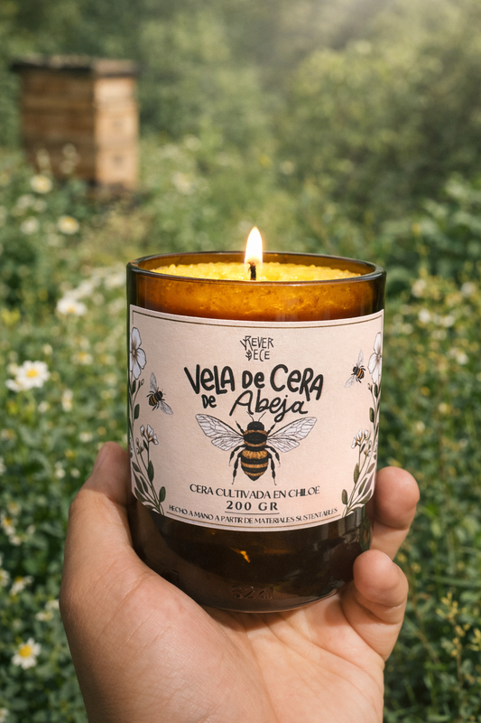 Vela de Cera de Abeja Recargable en Vaso Reciclado – Reverdece (200 g)