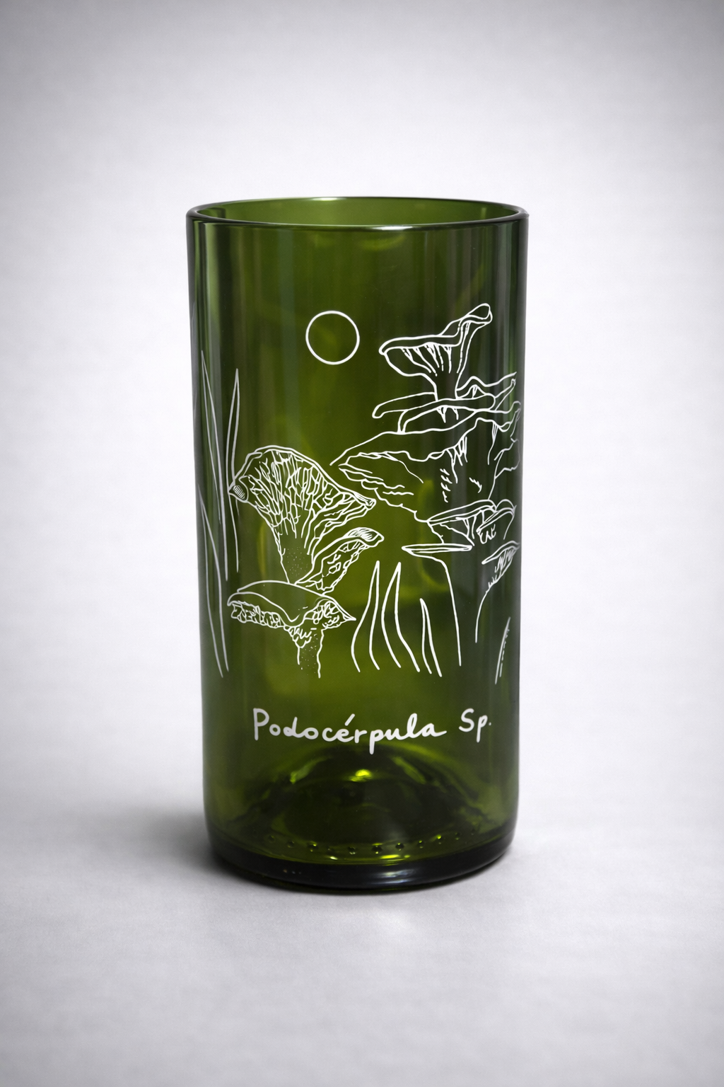 Reino Fungi Set 3 vasos