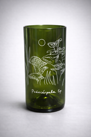 Reino Fungi Set 3 vasos