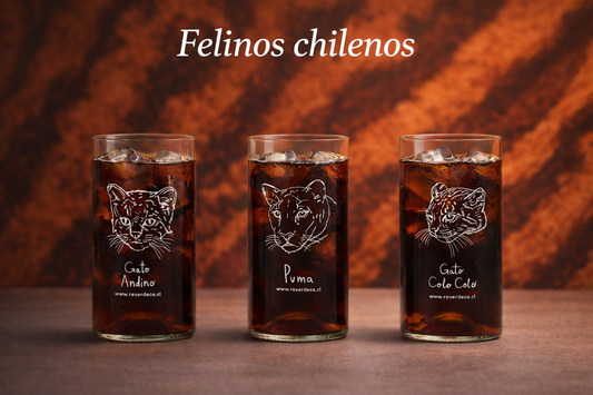 Felinos chilenos Set 3 vasos
