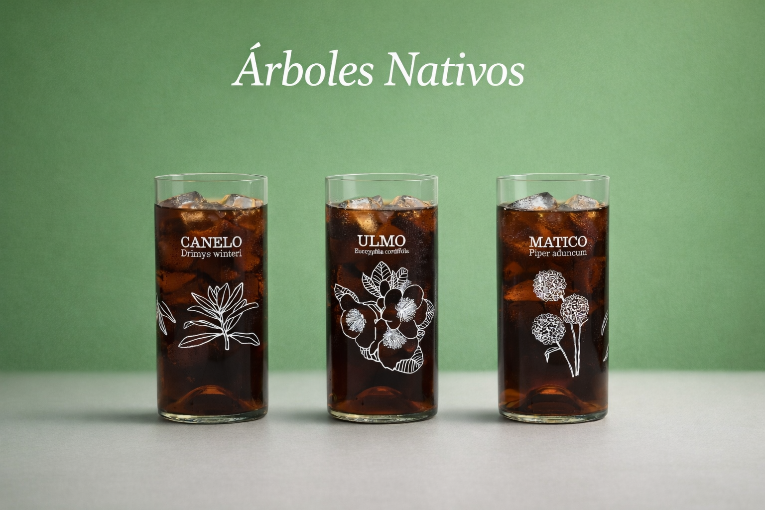 Vasos Reciclados “Flora Chilota” – Set 3 – Reverdece