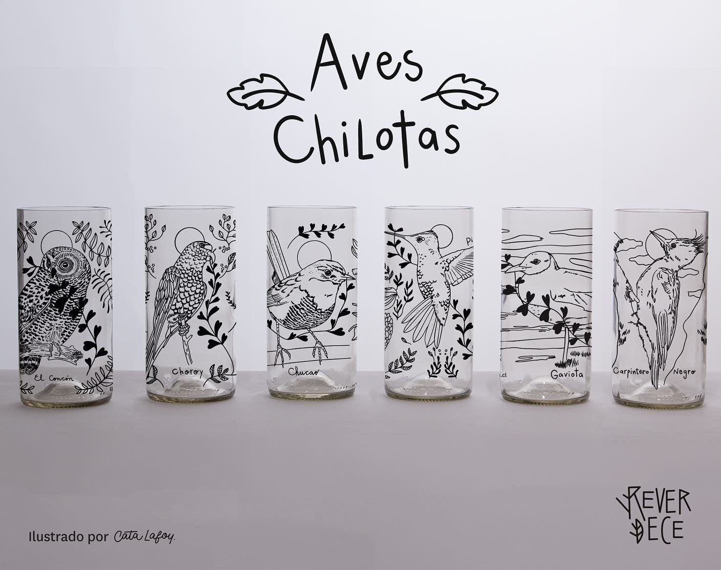 Aves chilotas Set 6 vasos