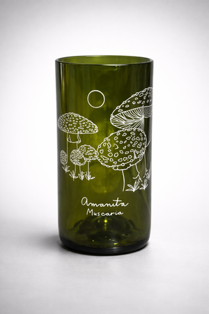 Reino Fungi Set 3 vasos