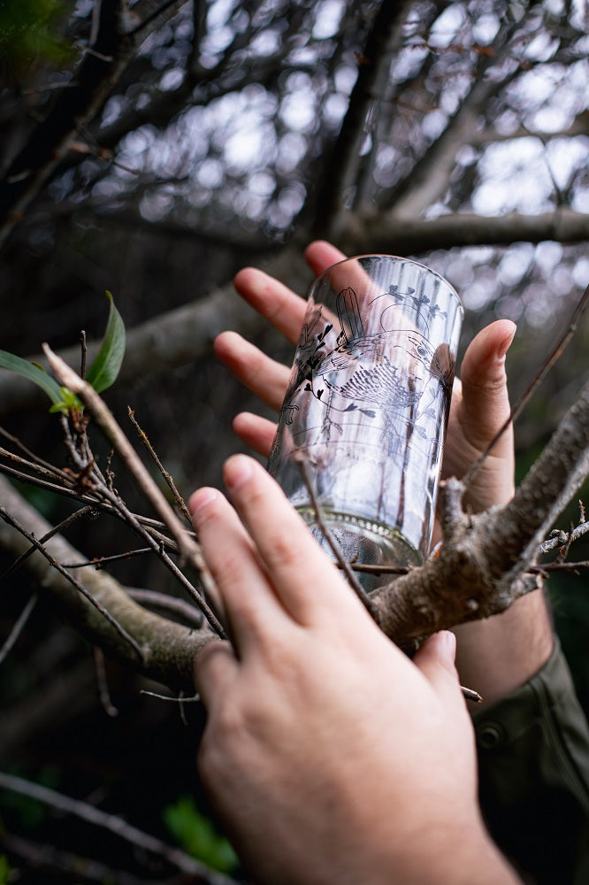 Aves chilotas Set 6 vasos