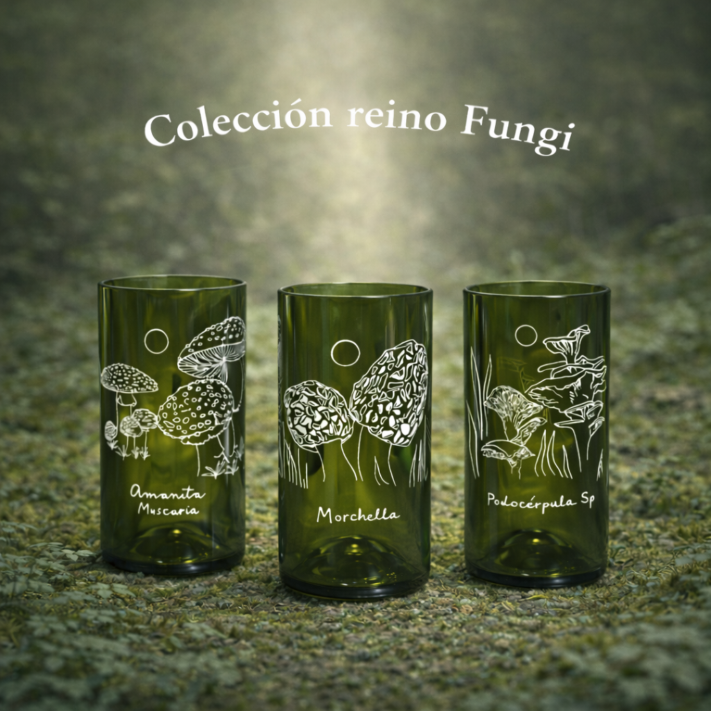 Reino Fungi Set 3 vasos
