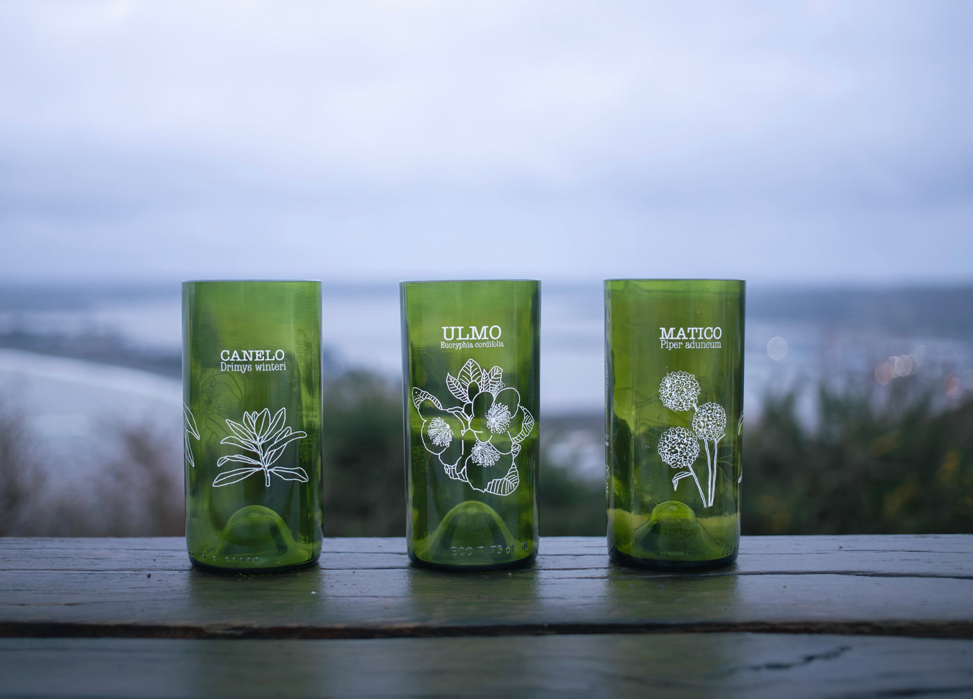 Flora chilota Set 3 vasos