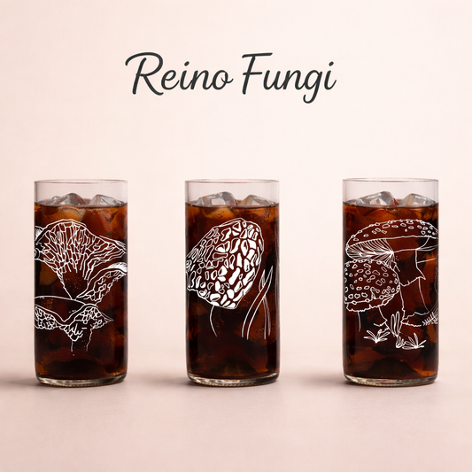 Reino Fungi Set 3 vasos