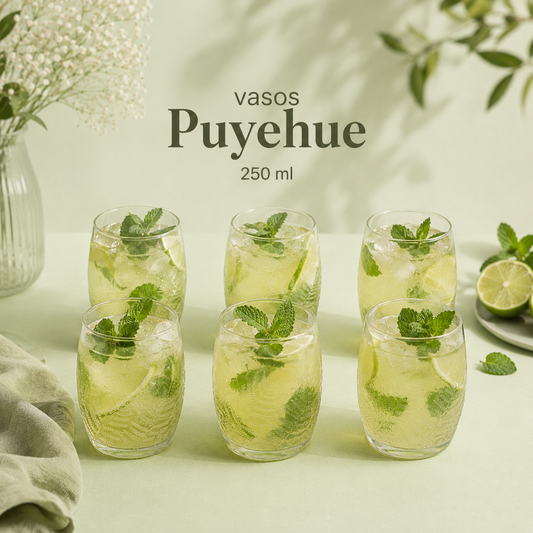Vasos Reciclados Puyehue 250 ml | Set de 6 – Reverdece