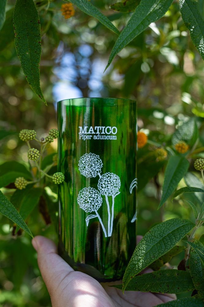 Flora chilota Set 3 vasos