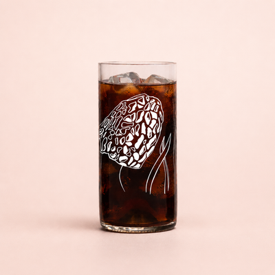 Vaso Reciclado Reino Fungi Morchella 500 ml | Oferta a Luca