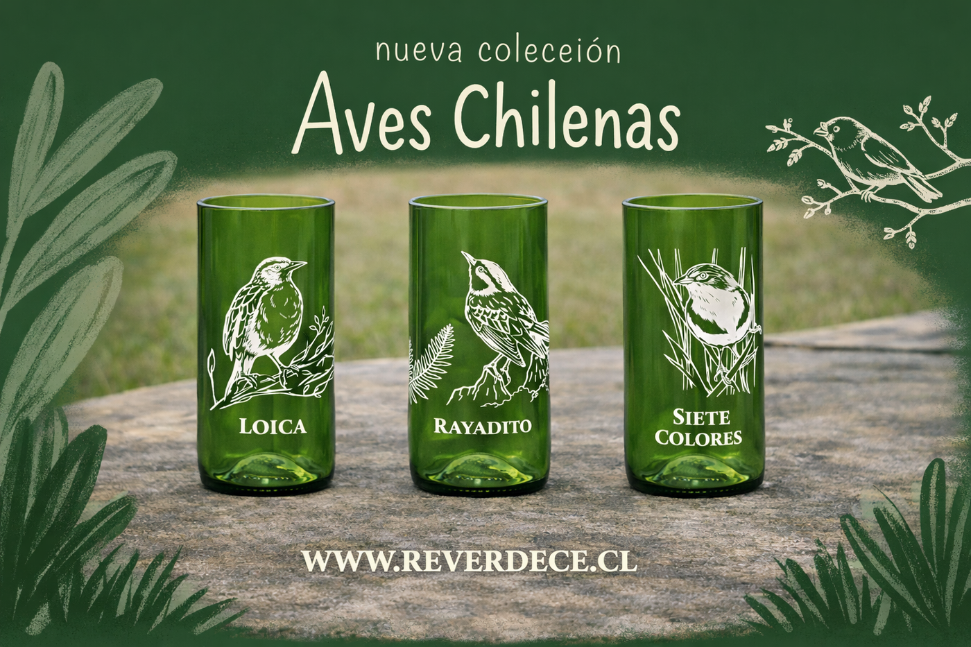 Aves chilenas set 3 vasos