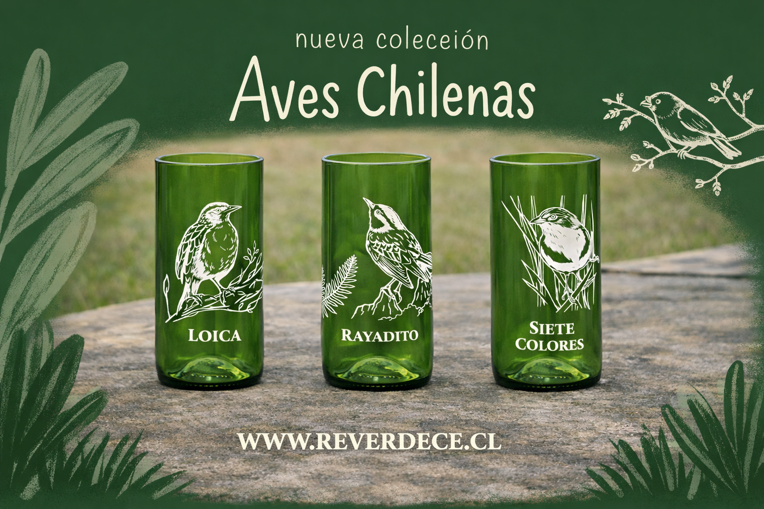 Aves chilenas set 3 vasos