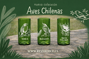 Aves chilenas set 3 vasos