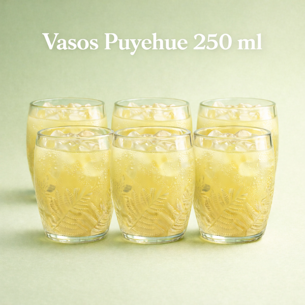 Vasos Reciclados Puyehue 250 ml | Set de 6 – Reverdece