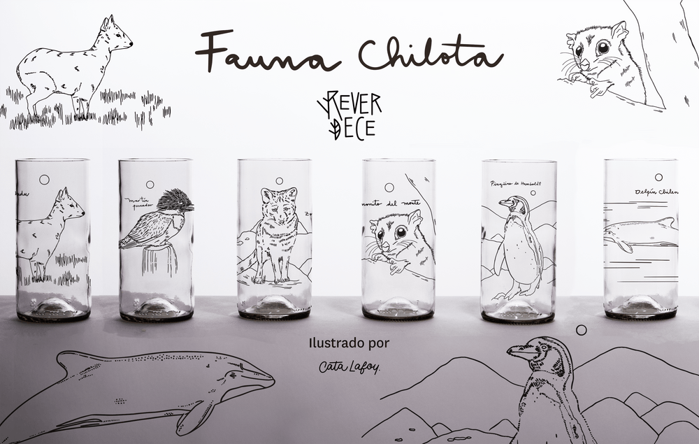 FAUNA CHILOTA