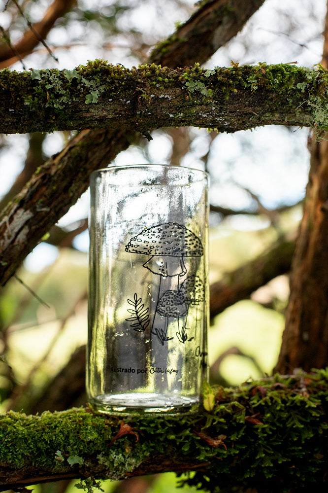 Reino Fungi Set 3 vasos