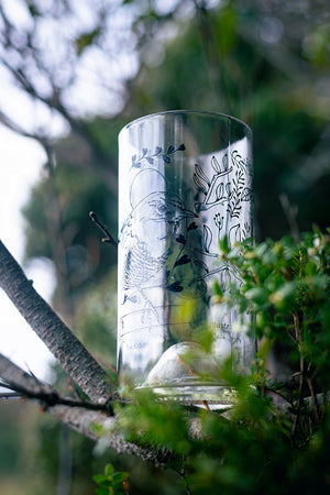 Aves chilotas Set 6 vasos