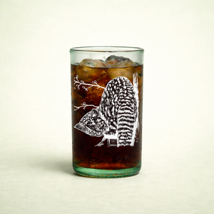 "Set Fauna Vulnerable Chilena | 3 Vasos Reciclados – Protege Especies"