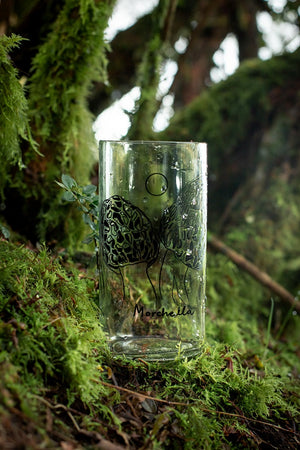 Reino Fungi Set 3 vasos