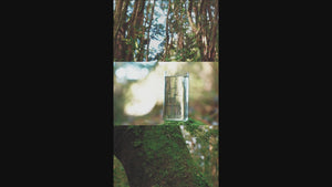 Felinos chilenos Set 3 vasos