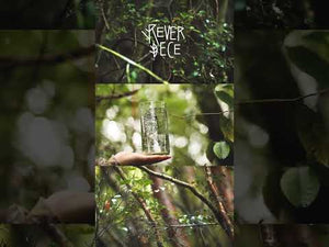 Reino Fungi Set 3 vasos