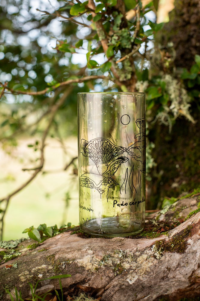 Reino Fungi Set 3 vasos