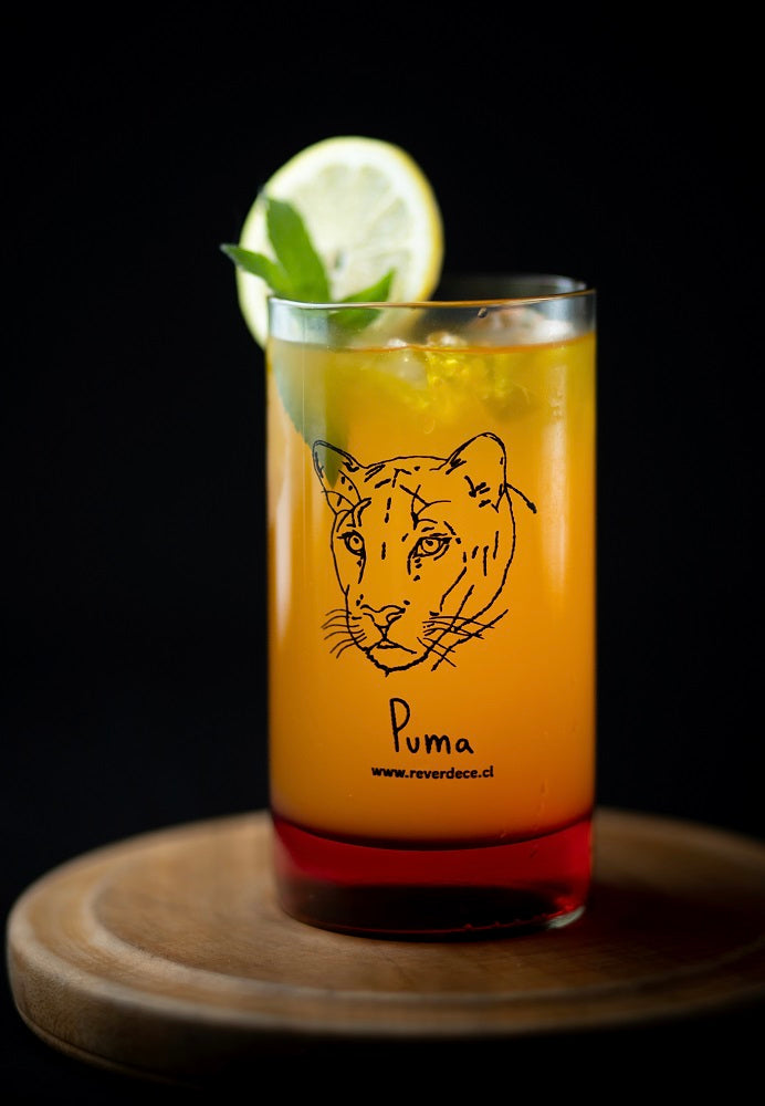 Felinos chilenos Set 3 vasos