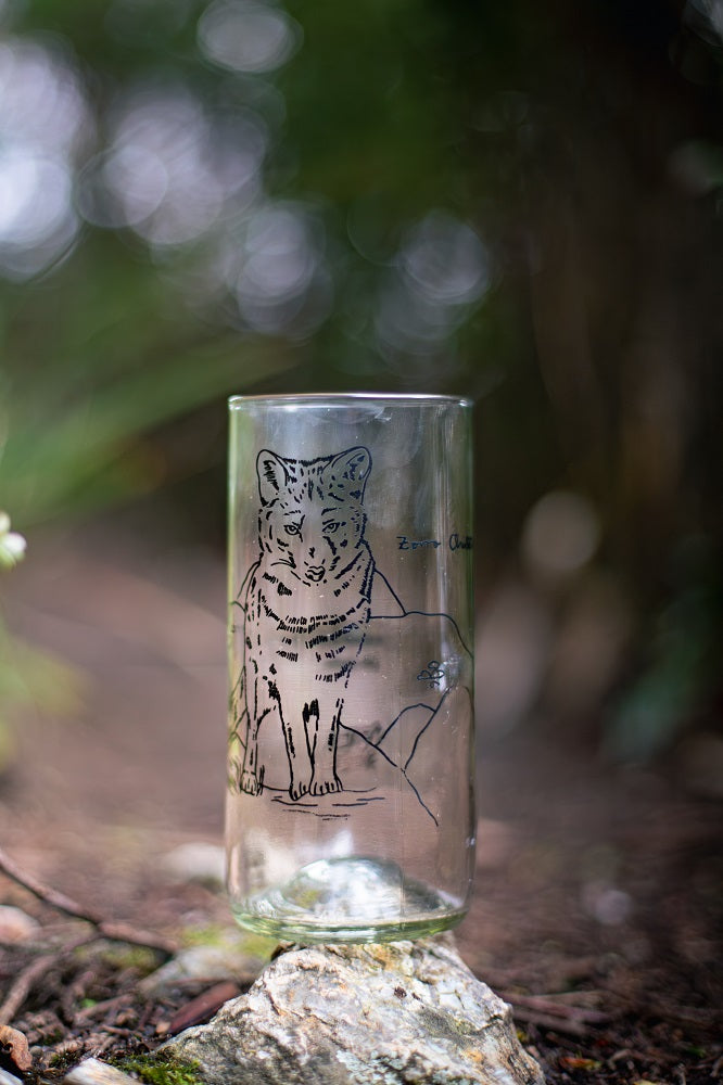 Fauna chilota Set 6 vasos