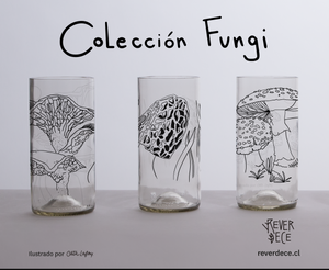 Reino Fungi Set 3 vasos