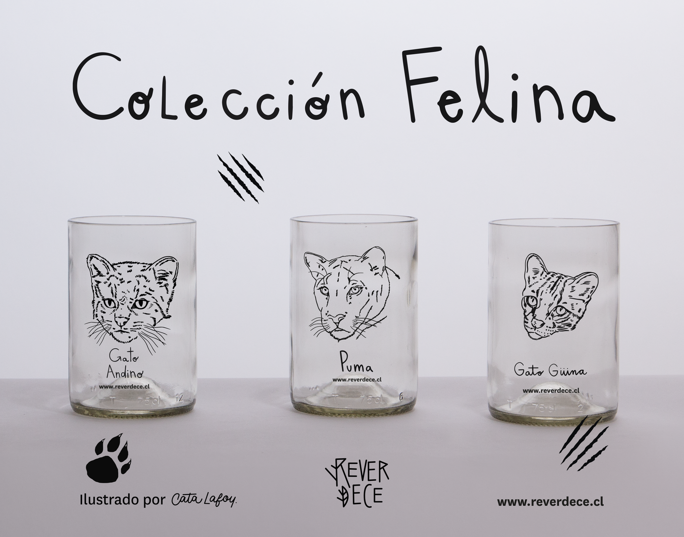 Felinos chilenos Set 3 vasos