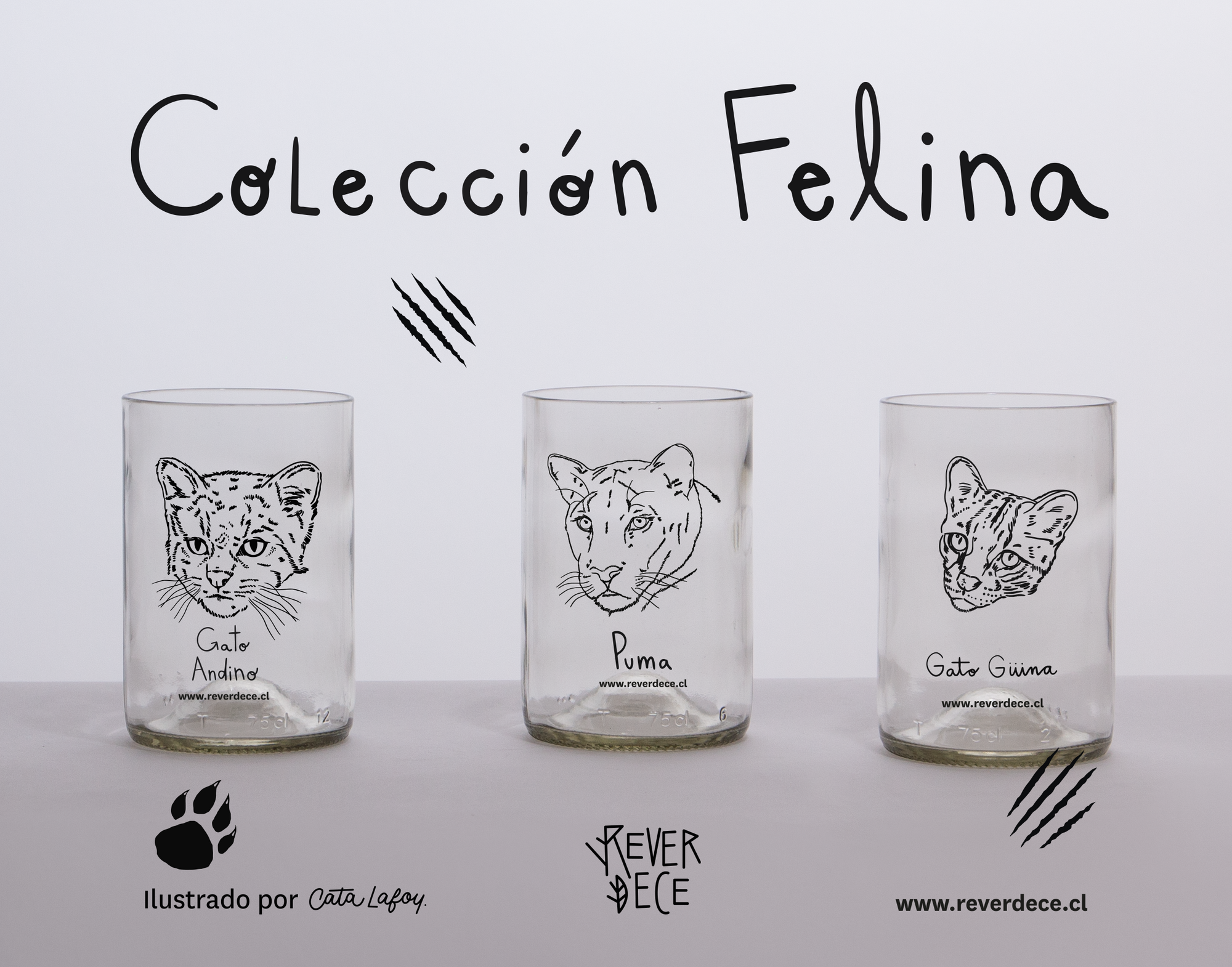 Felinos chilenos Set 3 vasos